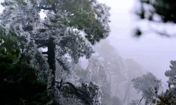 小萌新的甜美装扮