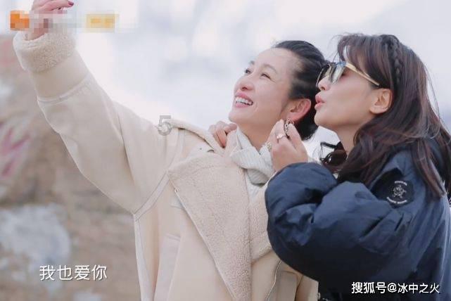 寻找萌宠松鼠